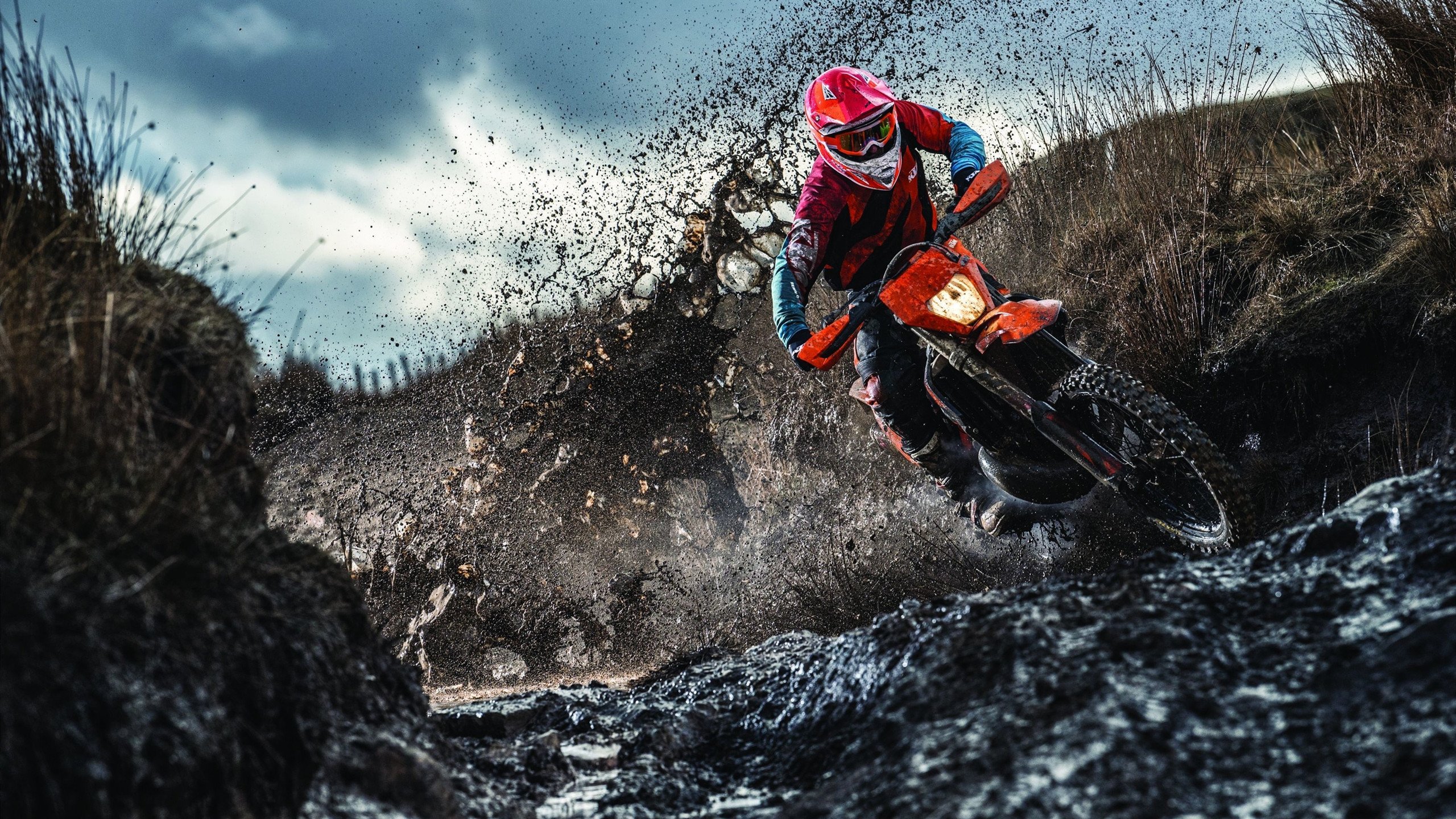 大卫·波波维奇决赛表现成焦点话题,大卫波莱